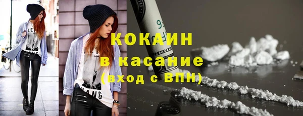 стаф Арсеньев