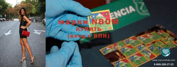 стаф Арсеньев