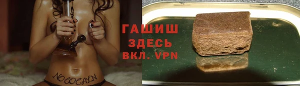 стаф Арсеньев