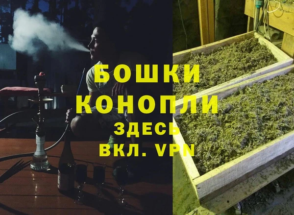стаф Арсеньев